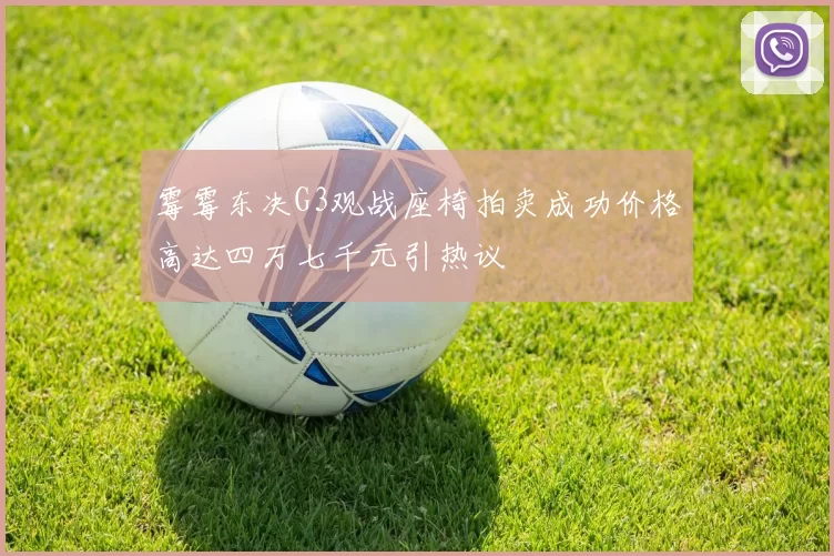 霉霉东决G3观战座椅拍卖成功价格高达四万七千元引热议