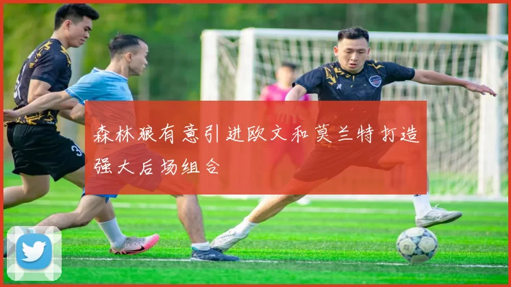 森林狼有意引进欧文和莫兰特打造强大后场组合